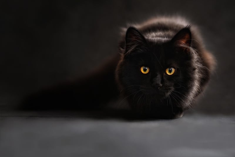 Enigmatic Enigmas